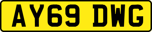 AY69DWG