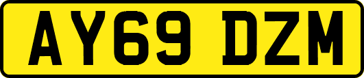 AY69DZM