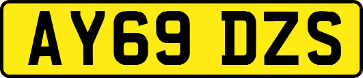 AY69DZS
