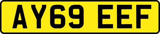 AY69EEF