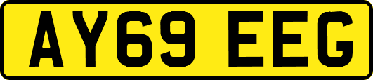AY69EEG