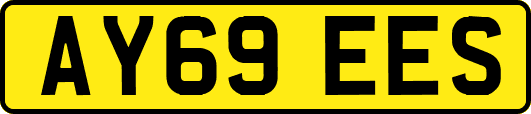AY69EES