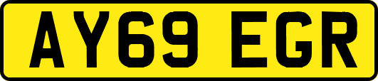 AY69EGR