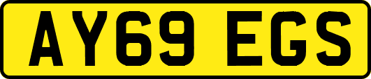 AY69EGS