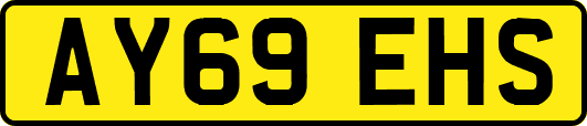 AY69EHS