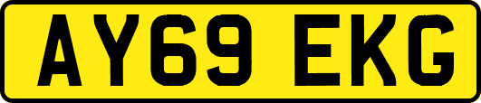 AY69EKG