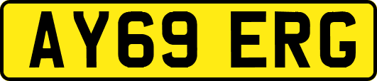 AY69ERG