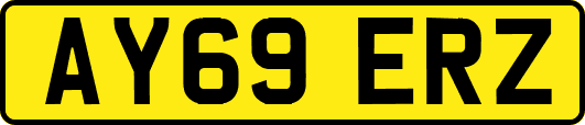 AY69ERZ