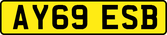 AY69ESB