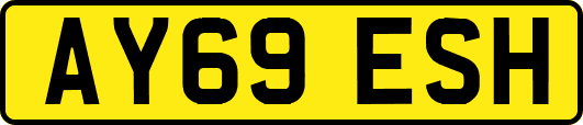 AY69ESH
