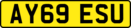AY69ESU