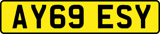 AY69ESY