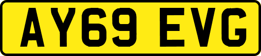 AY69EVG