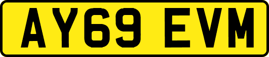 AY69EVM