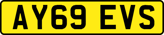 AY69EVS