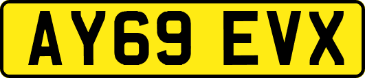 AY69EVX