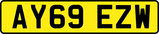 AY69EZW