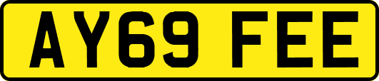 AY69FEE