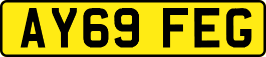 AY69FEG