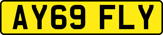 AY69FLY