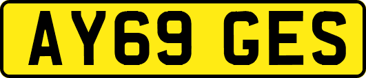 AY69GES