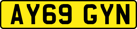 AY69GYN