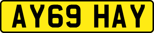AY69HAY