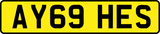 AY69HES