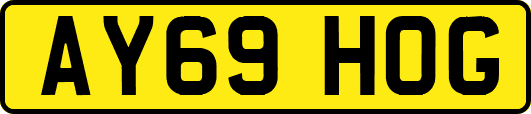 AY69HOG