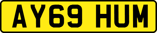 AY69HUM