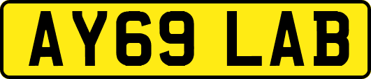 AY69LAB