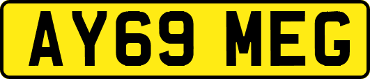 AY69MEG