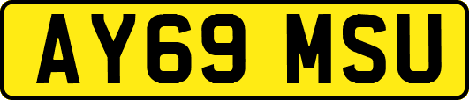 AY69MSU