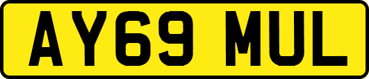 AY69MUL