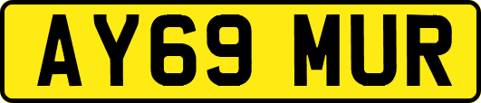 AY69MUR