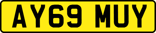 AY69MUY