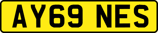 AY69NES