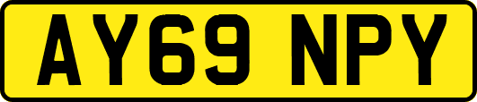 AY69NPY