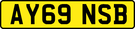 AY69NSB
