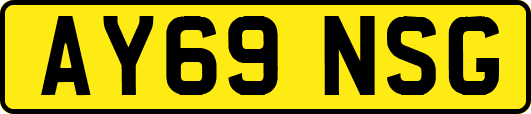 AY69NSG