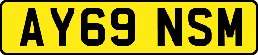 AY69NSM