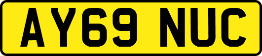AY69NUC