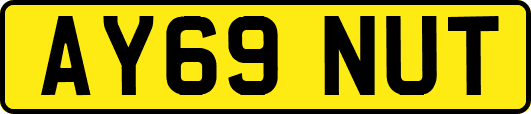 AY69NUT