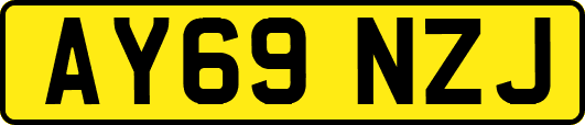 AY69NZJ