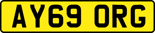 AY69ORG