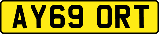 AY69ORT
