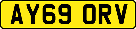 AY69ORV
