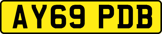 AY69PDB