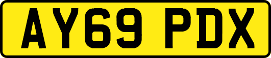 AY69PDX