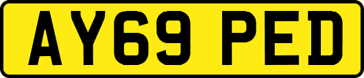 AY69PED
